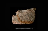 陶片藏品圖，第1張